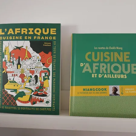 Afrobohome, Confort, Familles Et Petits Groupes, Clim, 2 A 6 Personnes, Proche Centre Nimes, Garage Clos Nimes