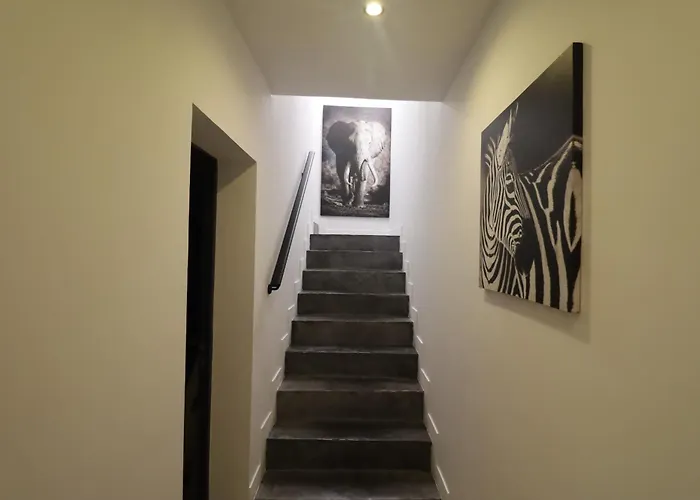 Afrobohome, Expérience Atypique, Clim, 2 à 6 Personnes, Proche Centre Nîmes, Garage Clos